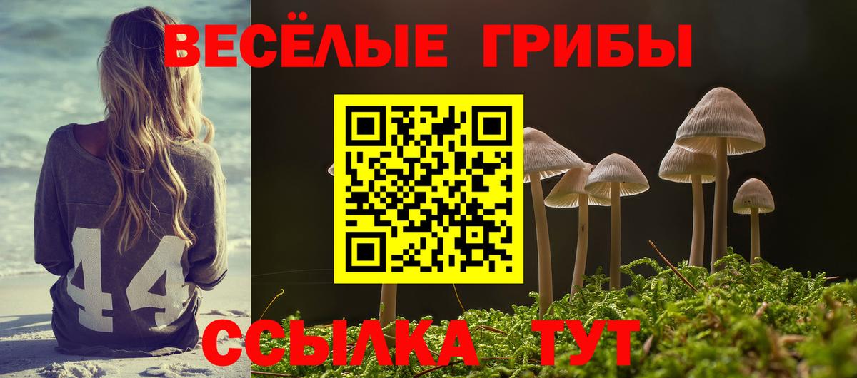 Ейск  Псилоцибиновые грибы Magic Shrooms  Вход с VPN  Псилоцибиновые грибы Psilocybine cubensis 